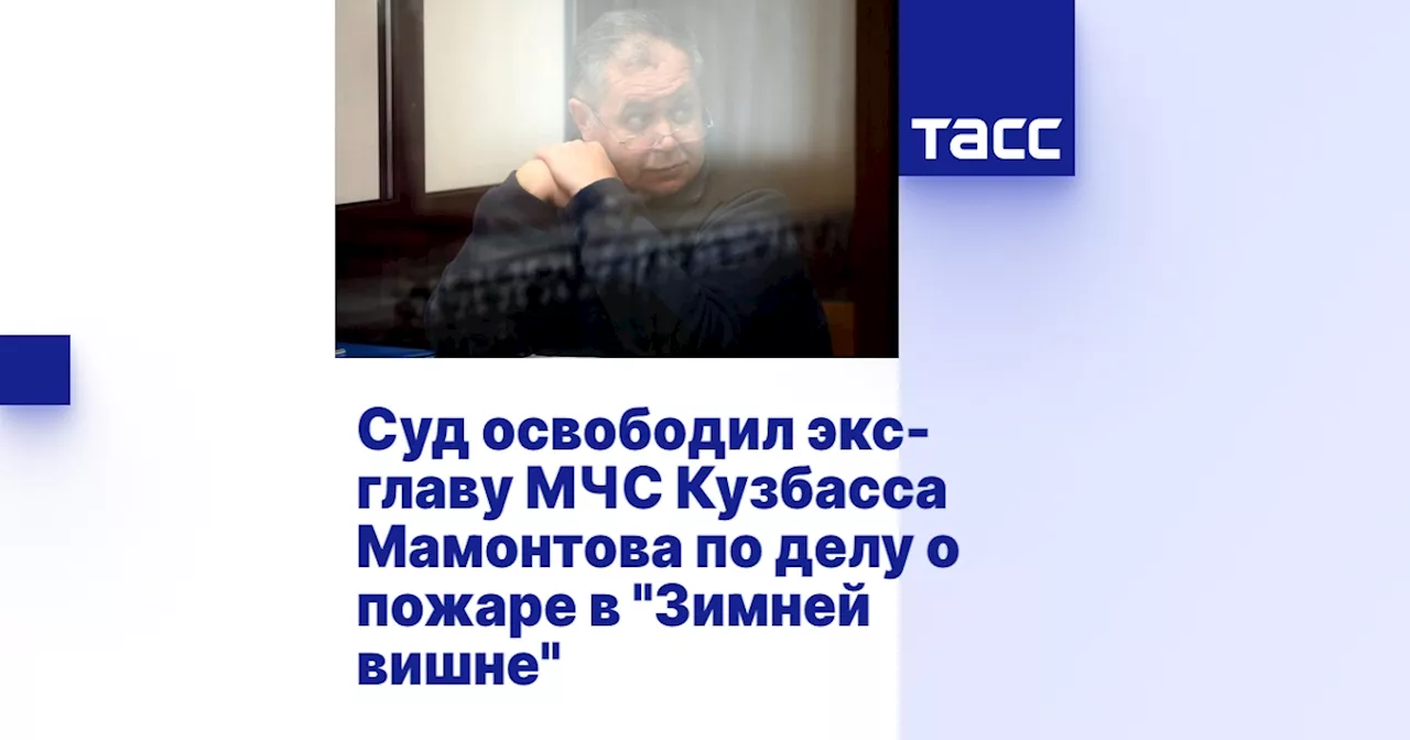 Суд освободил экс-главу МЧС Кузбасса Мамонтова по делу о пожаре в 'Зимней вишне'