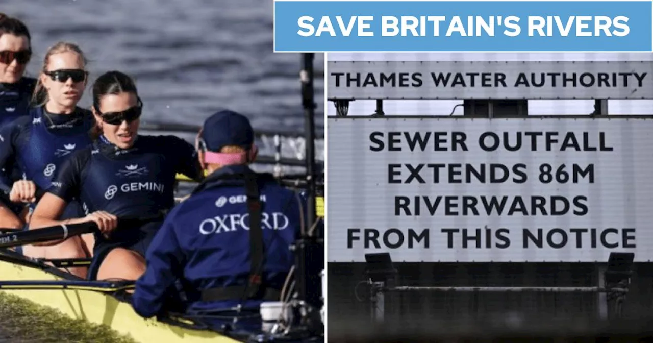 Boat Race teams risk kidney failure and sepsis from River Thames sewage water