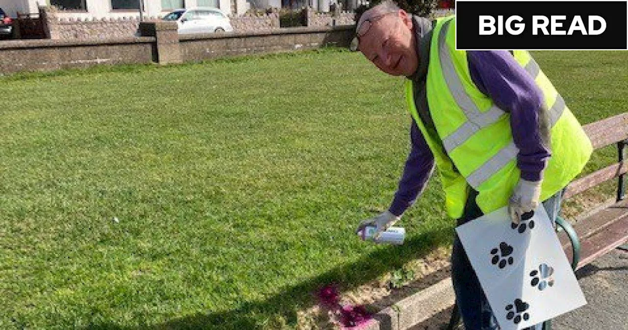 The rise of the dog poo vigilantes