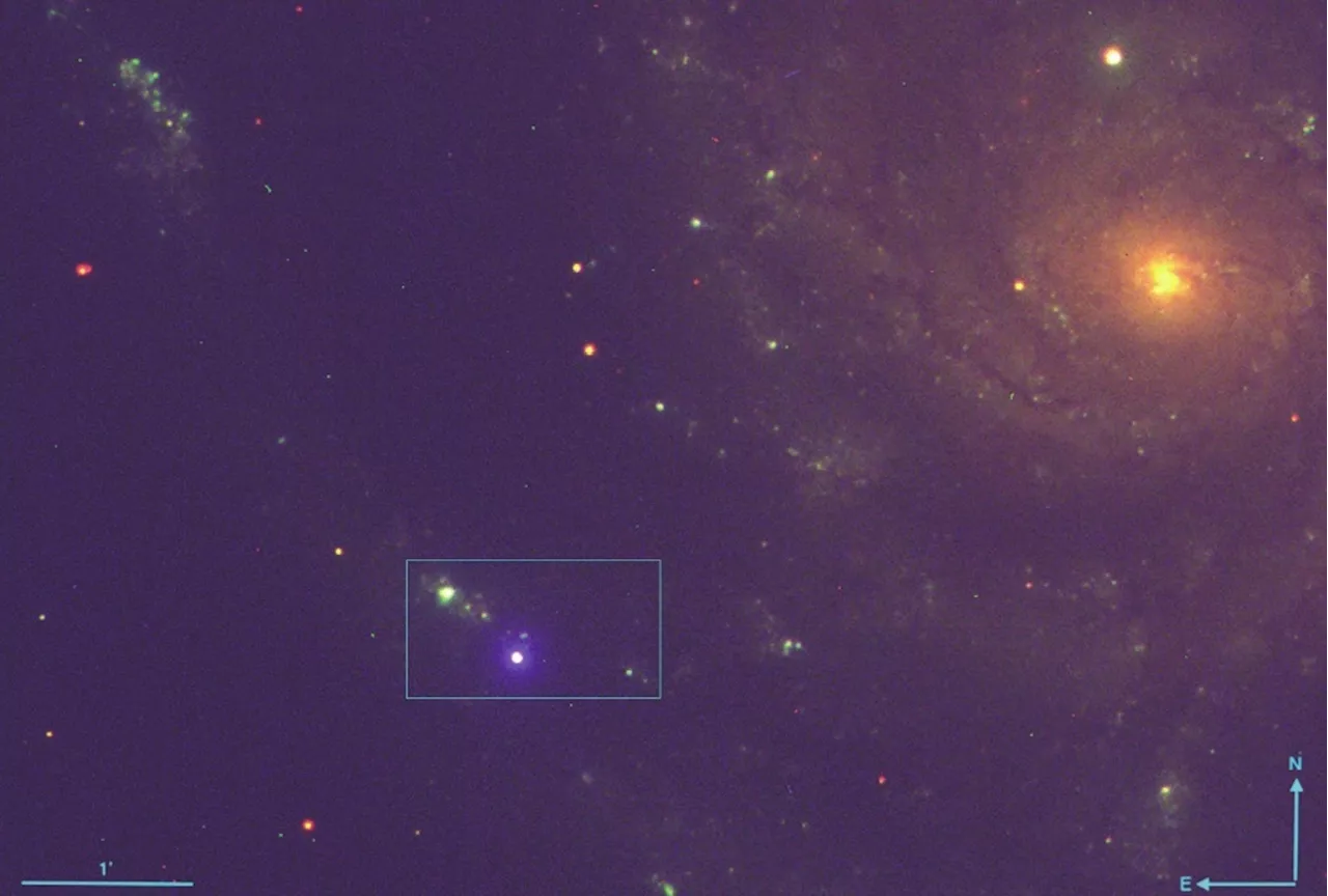 Astronomers Catch a Supernova Explode Almost in Realtime