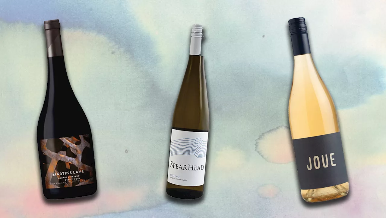 The Best Value B.C. Wines on Shelves Right Now