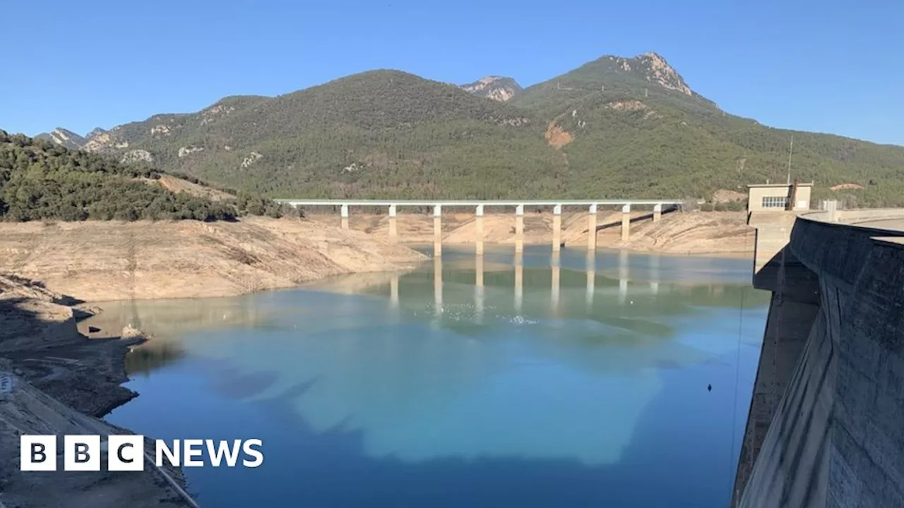 Catalonia's farmers demand more help over drought