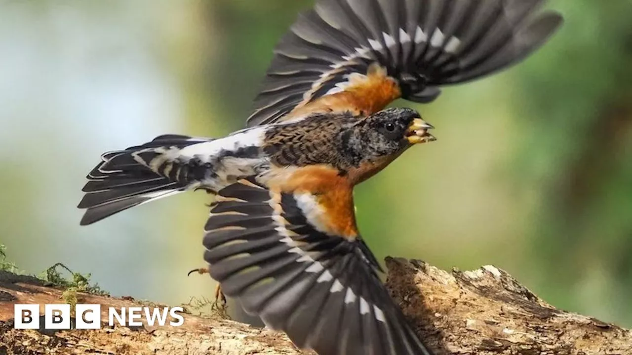 Your pictures of the West Midlands: 26 February