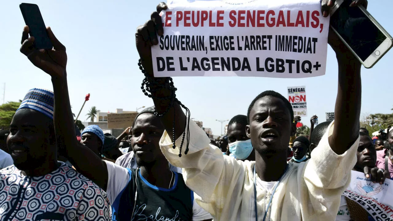 «Une guerre juridique homophobe»: en Afrique, de nombreux pays durcissent encore leur législation anti-LGBT+