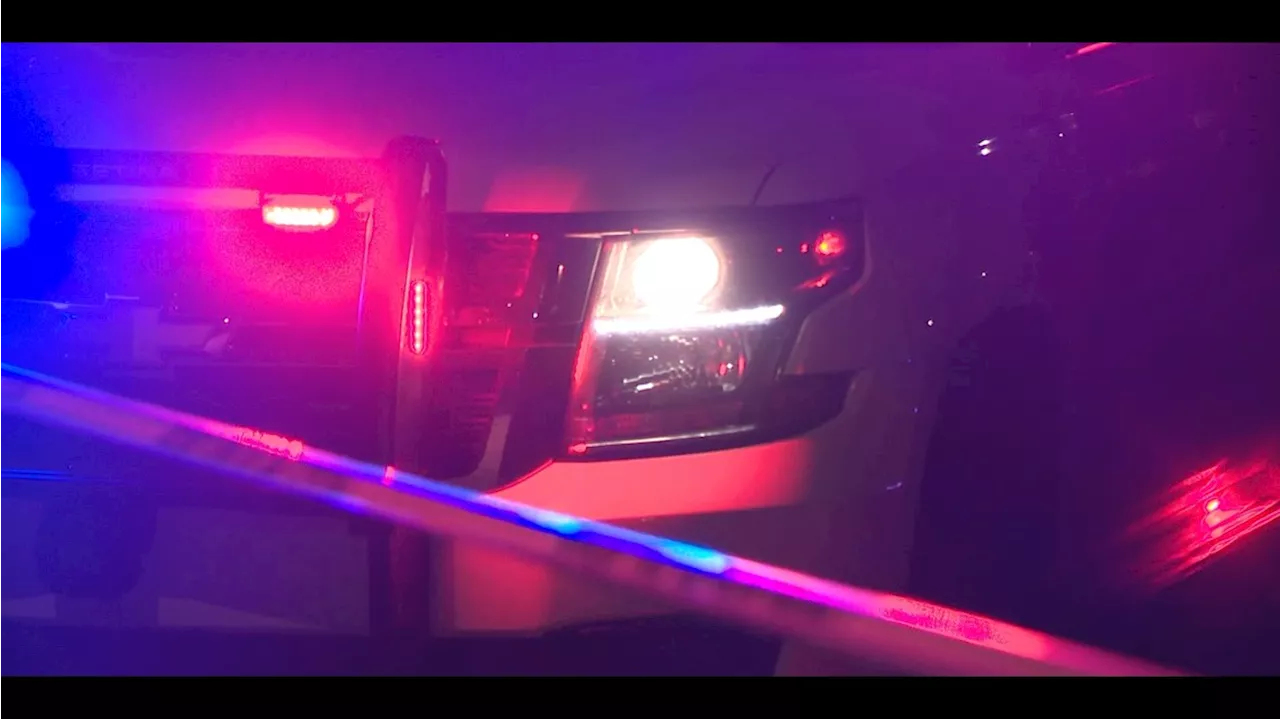 Phoenix police officer shot following armed robbery attempt