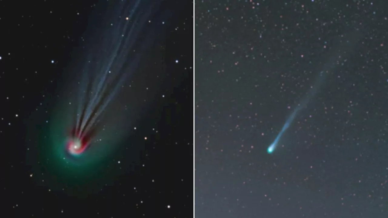 How to spot the ‘erupting’ Devil Comet in Australian skies in April