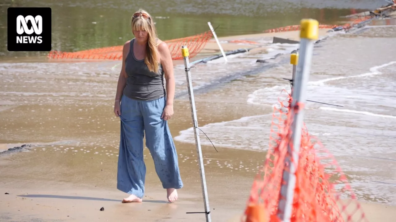Cairns' worst floods on record spark debate about future of city's flood-prone suburbs