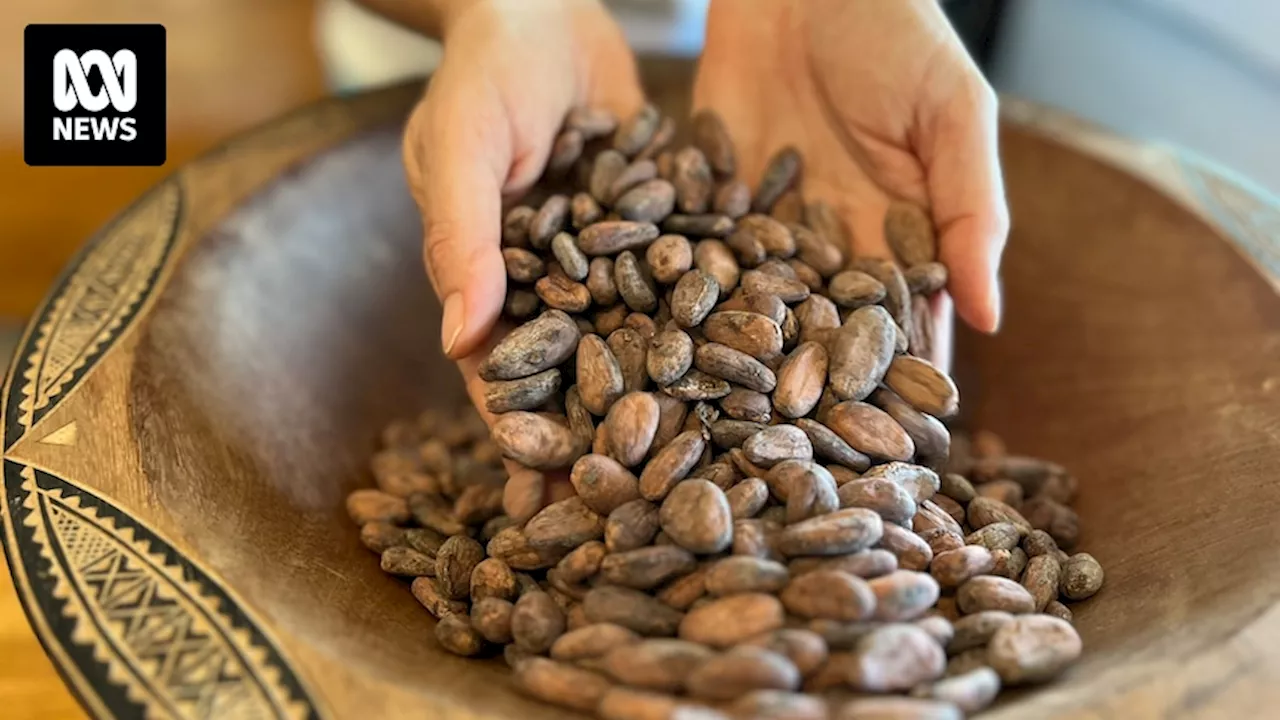 Emerging Australian, Pacific chocolate producers target boutique market