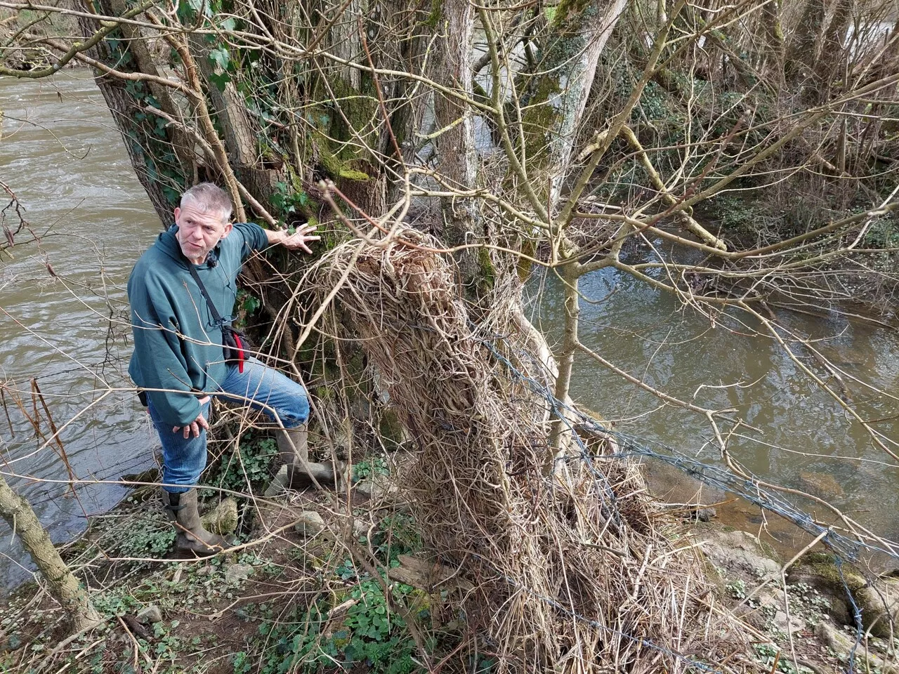 Dans l'Orne, des analyses ADN pour sauver une espèce protégée en danger