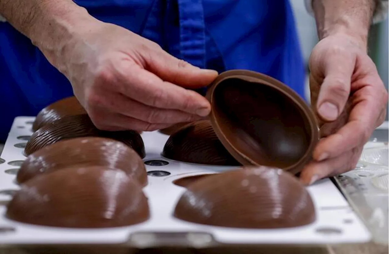 Prezzo del cacao ai massimi, uova di Pasqua molto più care