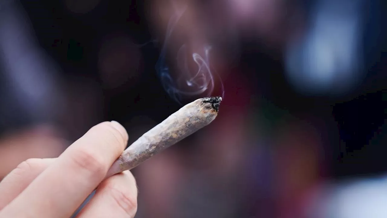 Union sagt Cannabis-Gesetz Kampf an