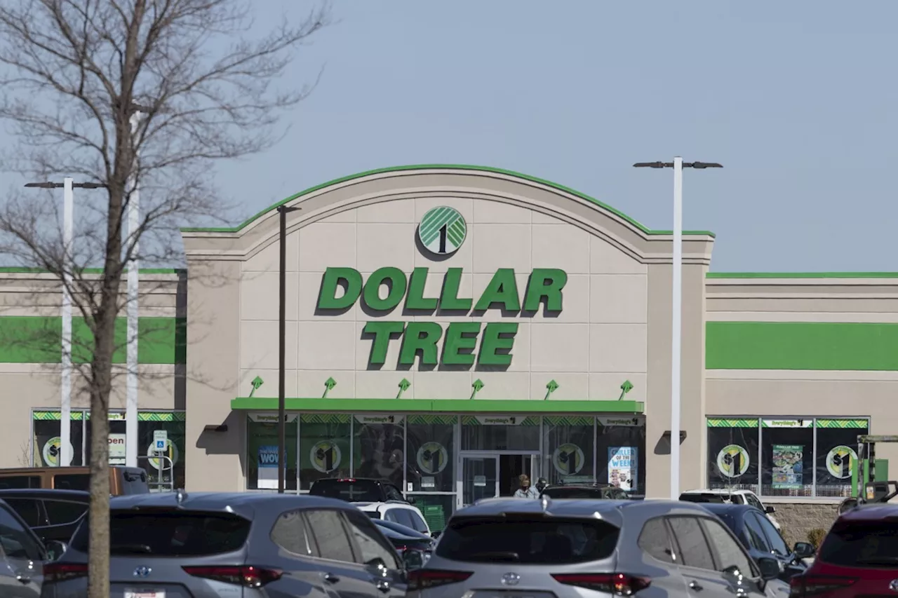 I'm a Makeup Expert and Just Bought 10 'Stunning' Dollar Tree Beauty Products for $1.25