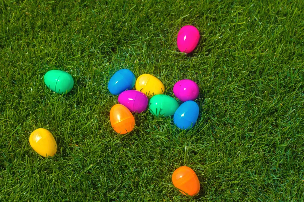 Easter safety alert: Protect your pets from toxic treats and hidden dangers