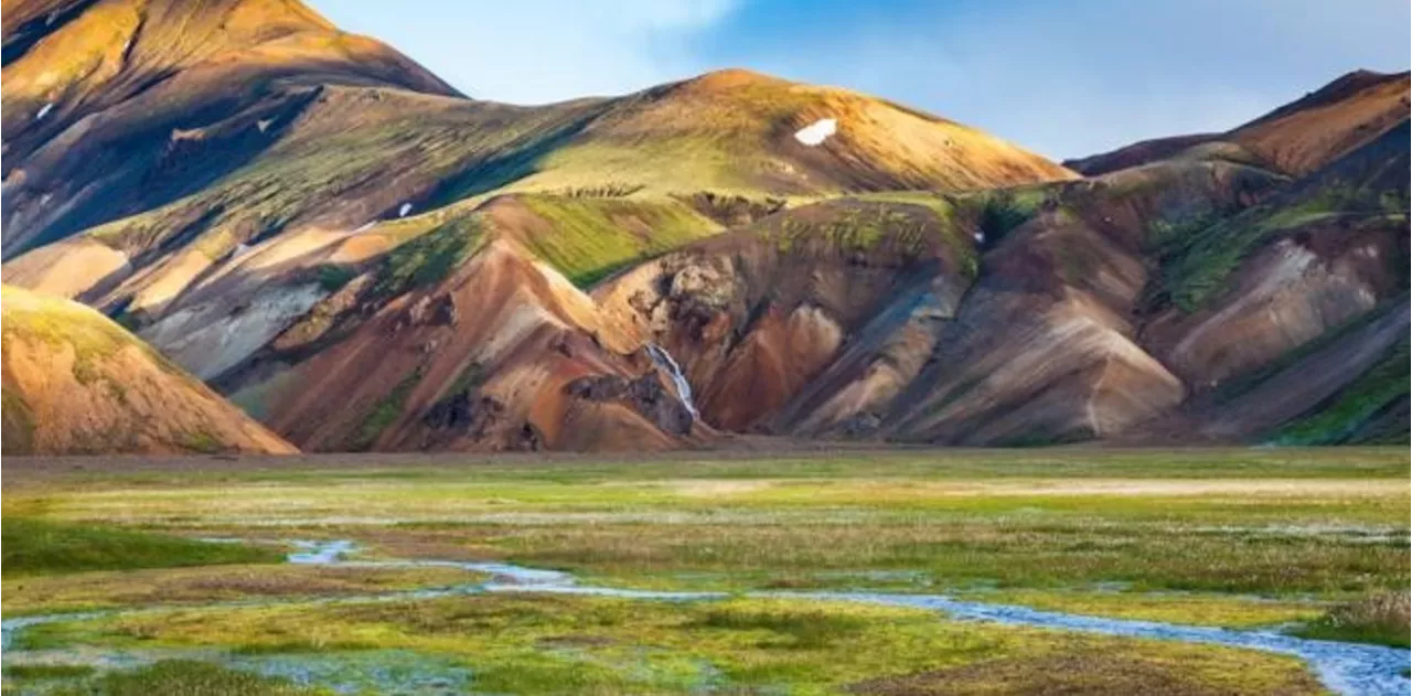 Islandia se ve obligada a plantar maíz en el Ártico