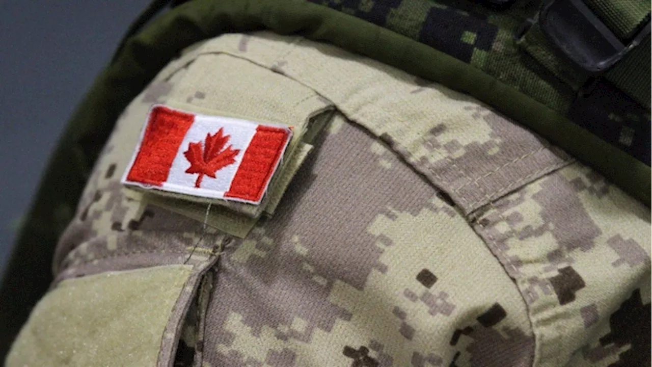 Canadian Armed Forces deployed to Jamaica to help train Caribbean troops for Haiti mission
