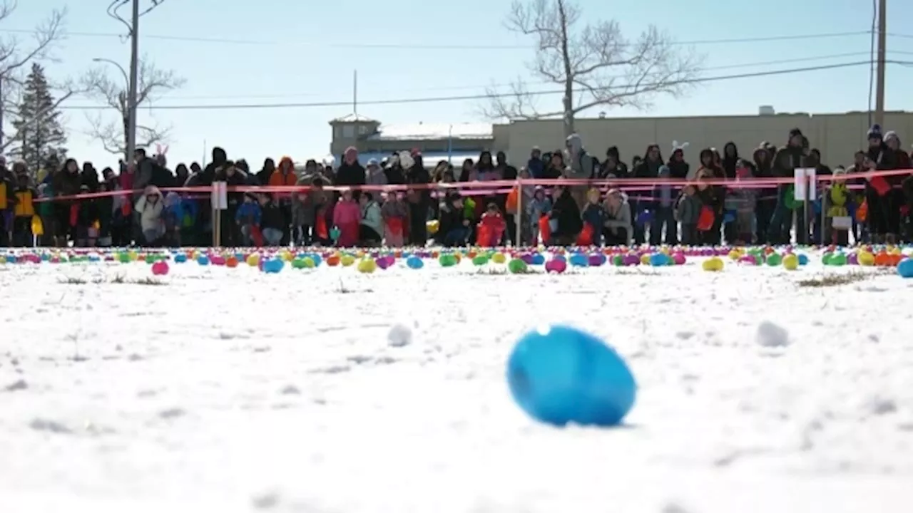 Hundreds take part in annual Easter egg hunt in Calgary