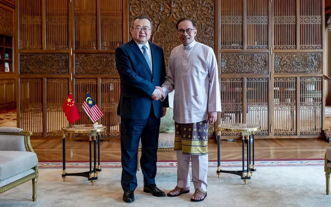 Anwar receives courtesy call from Chinese communist party minister