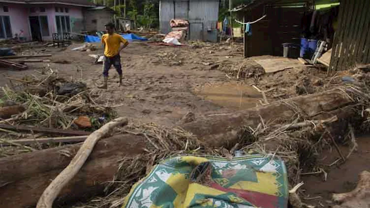 Indonesia deforestation is intensifying disasters from extreme weather and climate change