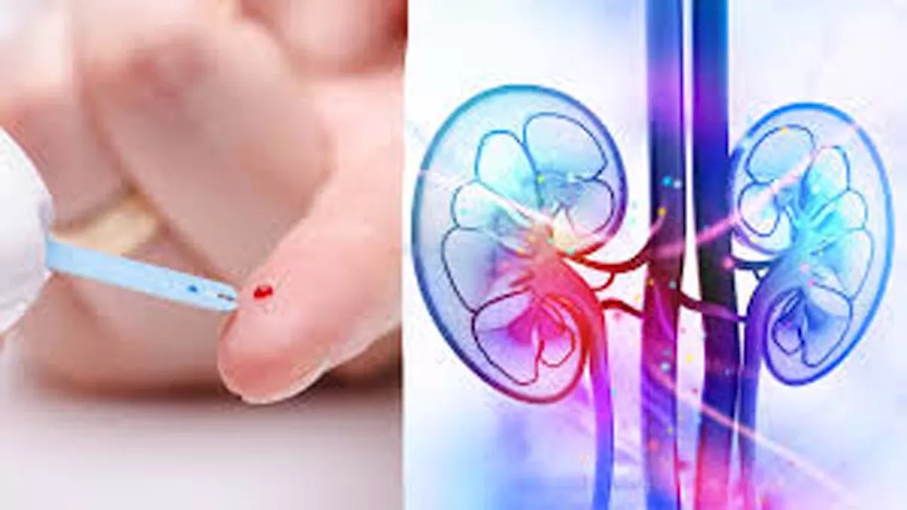 Study discovers a hormone can shield the kidney's functioning in diabetic patients