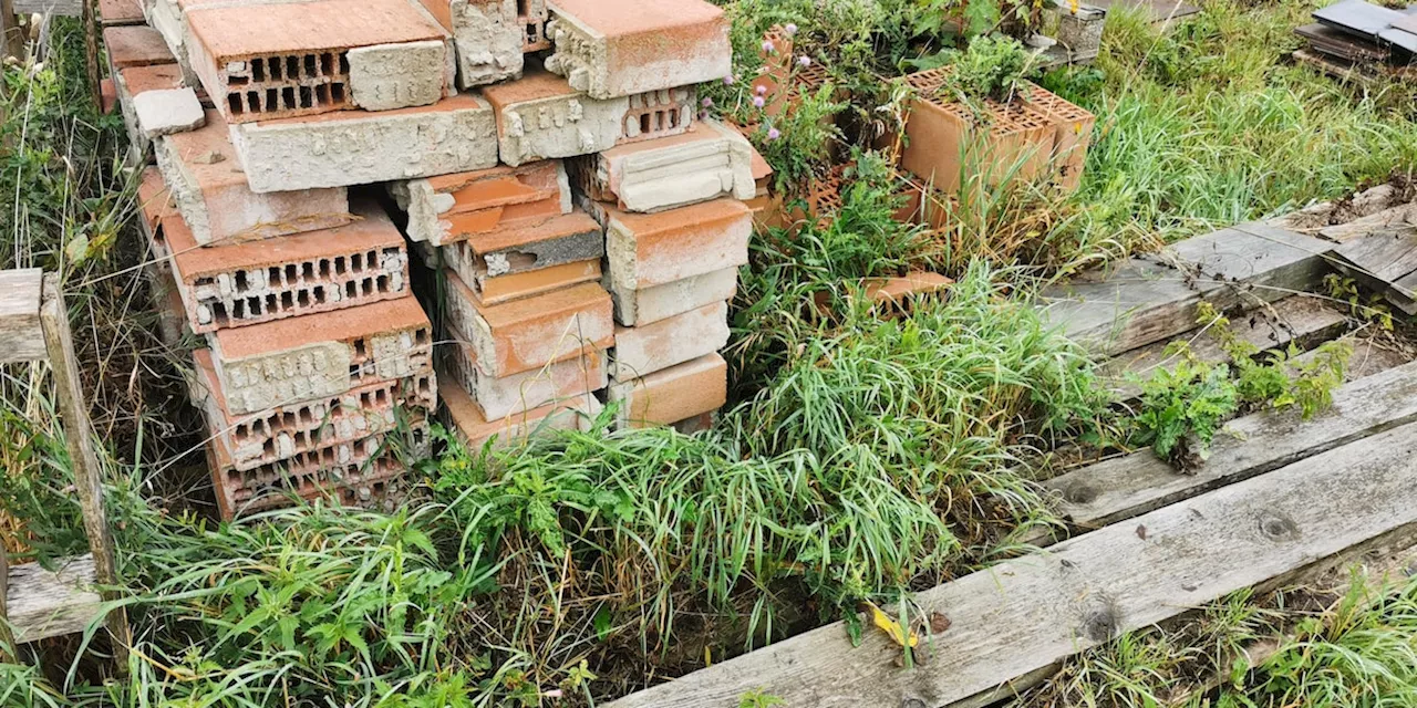 Stört nicht nur die Nachbarn: Diese Dinge dürfen Sie nicht im Garten lagern