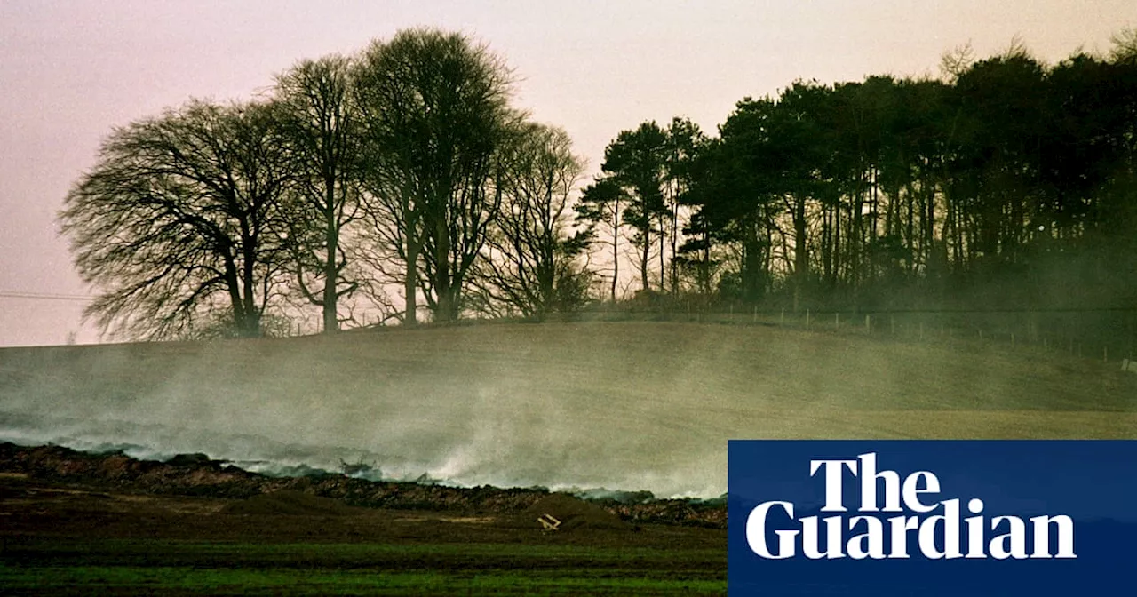 The Borrowed Hills by Scott Preston review – a blistering tale of land and violence