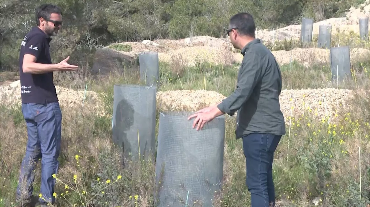 Captar agua de la niebla, una 'ayuda' en plena sequía en Cataluña