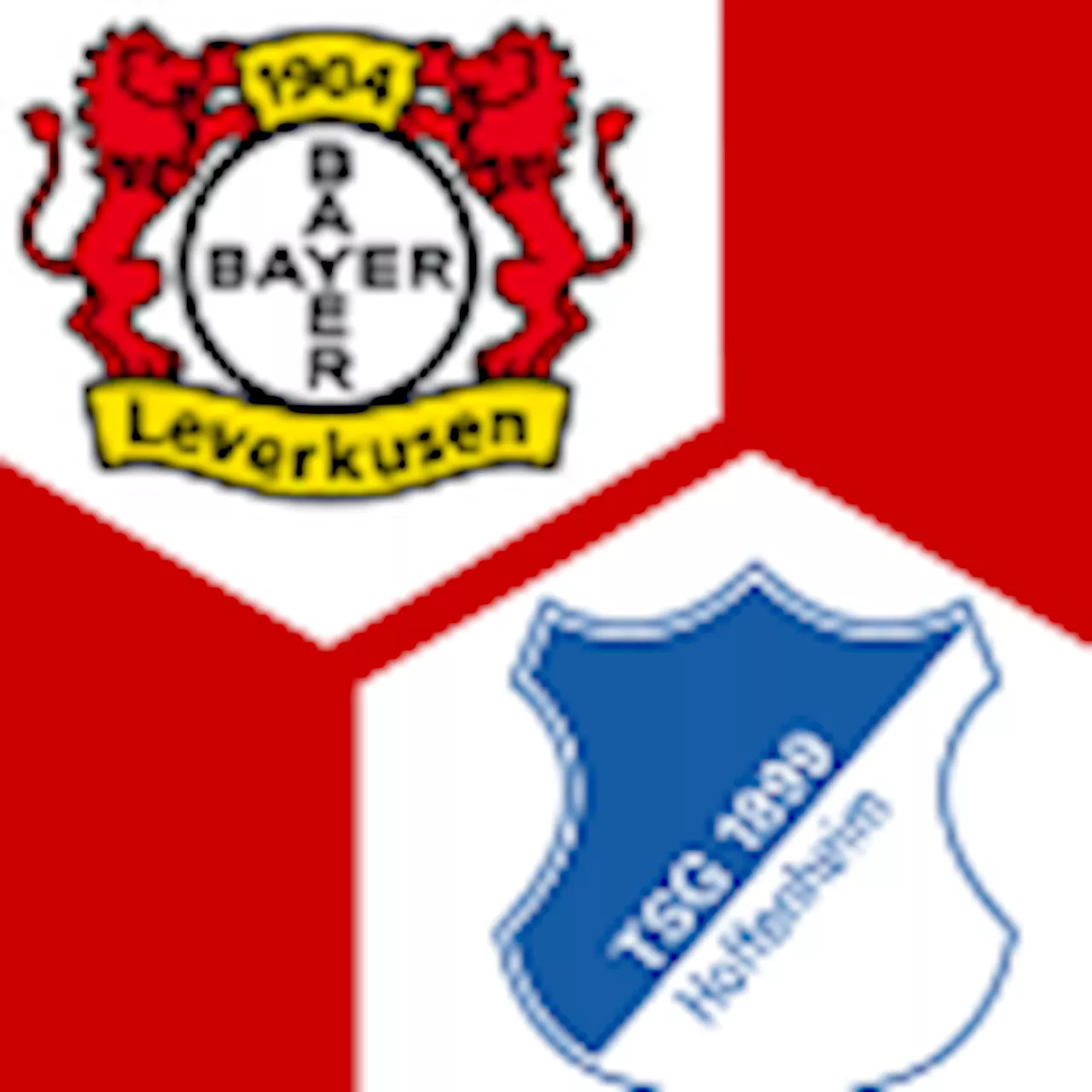 Bayer 04 Leverkusen - TSG Hoffenheim : | 27. Spieltag