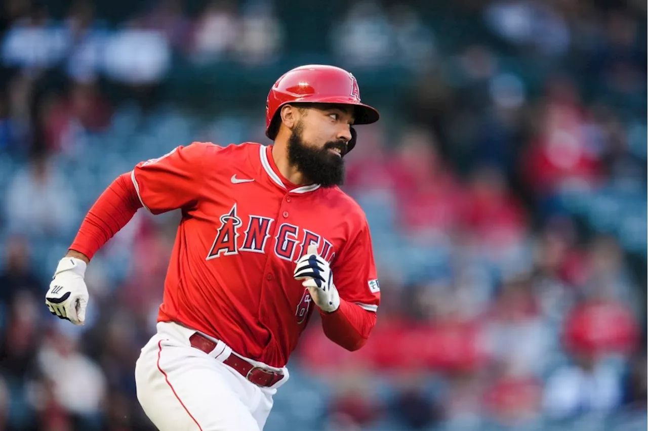 Angels’ Anthony Rendon ‘loves’ the opportunity to hit leadoff