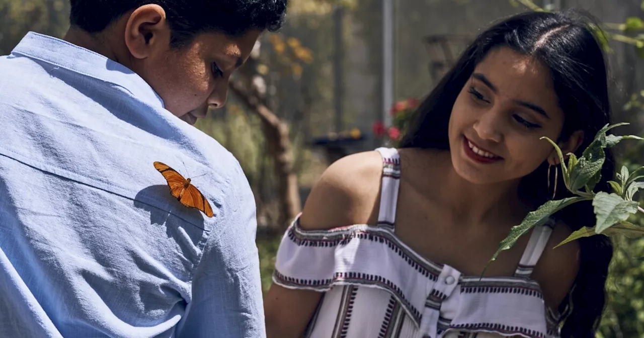 Butterfly Pavilion