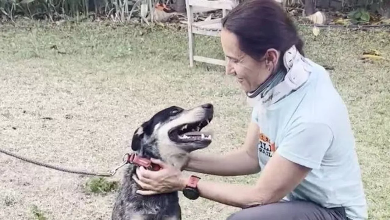 Un'addestratrice percorre 500 chilometri per trovare Clancy, un cane smarrito in un incidente stradale