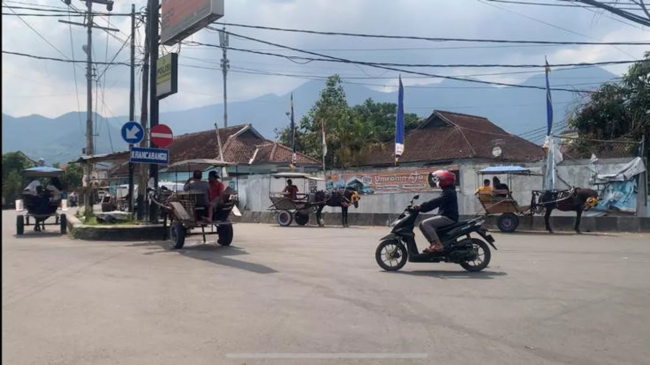 Berhenti 'Narik' Selama Mudik Lebaran, Puluhan Delman di Garut Dapat Kompensasi Rp100 Ribu per Hari