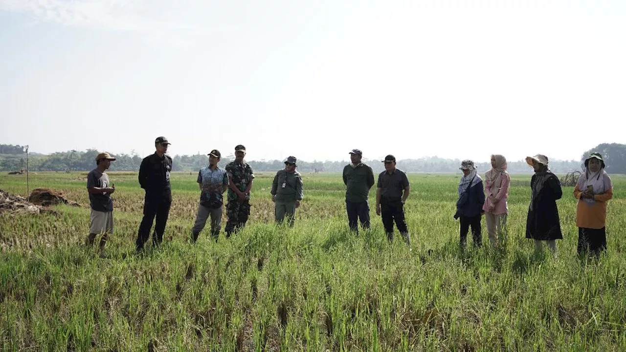 Kementan Gencarkan Program Pompanisasi Sawah Tadah Hujan di Banten