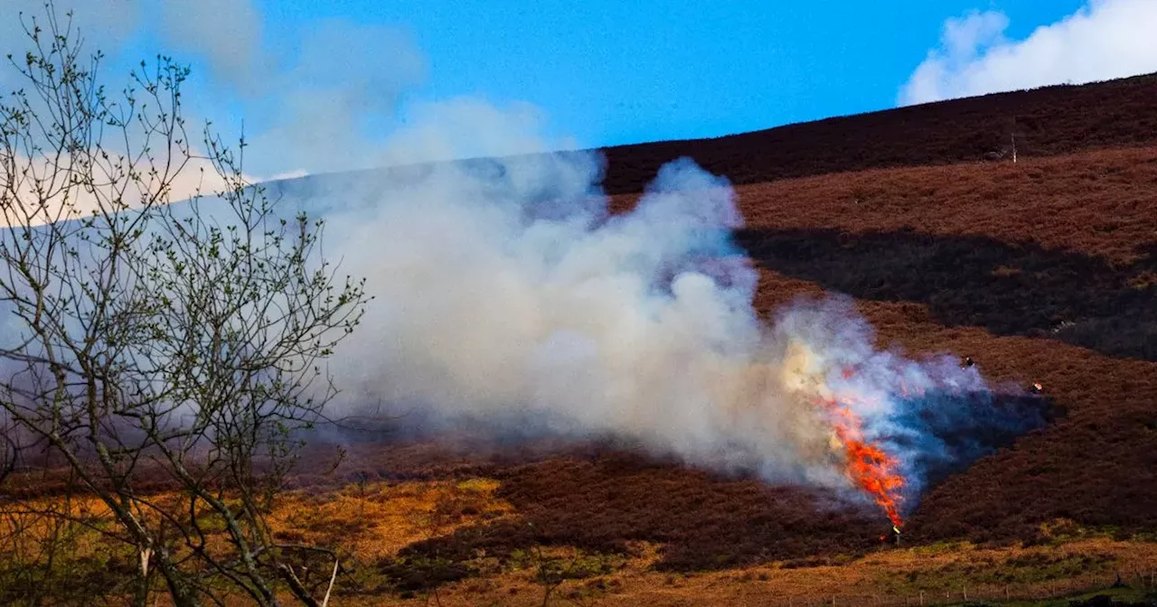 Fire service swamped with 999 calls over 'controlled burn' blaze on moors