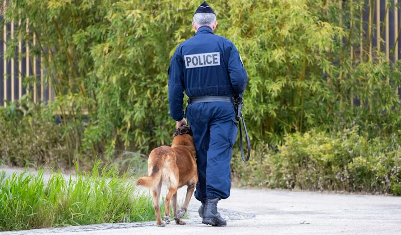 Kampf gegen Drogenhandel: 1700 Festnahmen bei Razzien in Frankreich