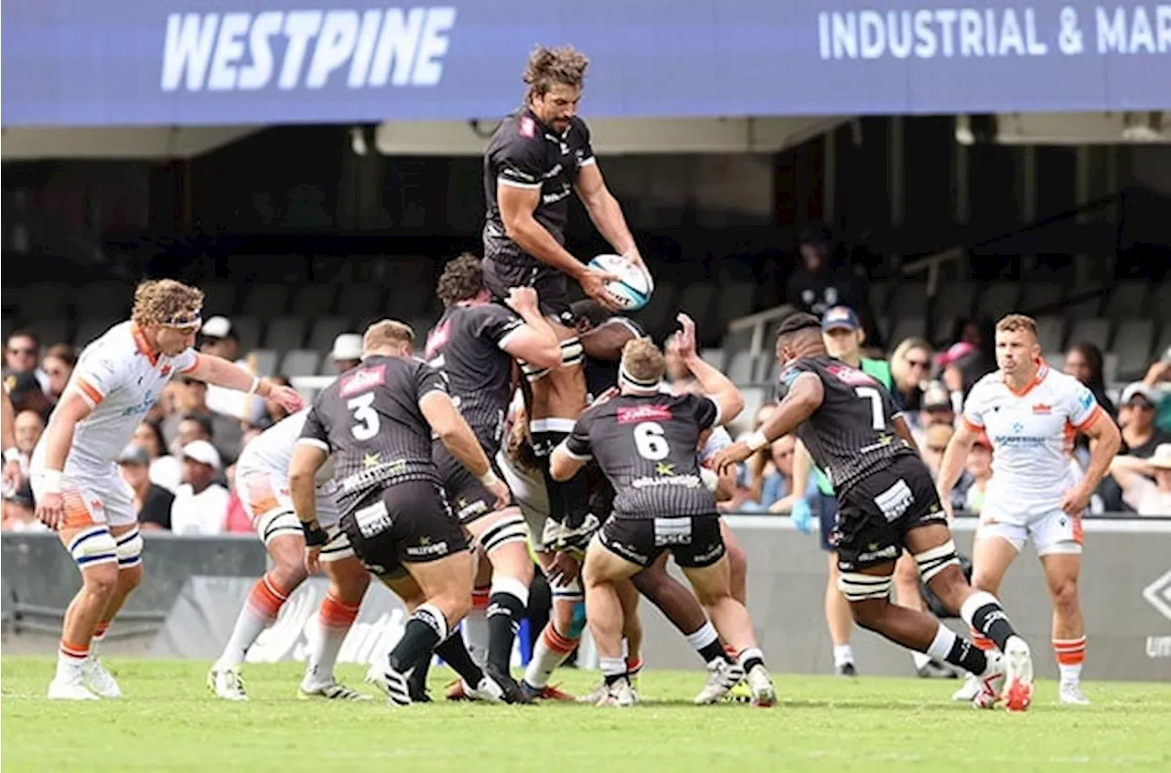 Upbeat Sharks prepare for another Etzebeth blow as Plumtree praises calmness amidst disruptions