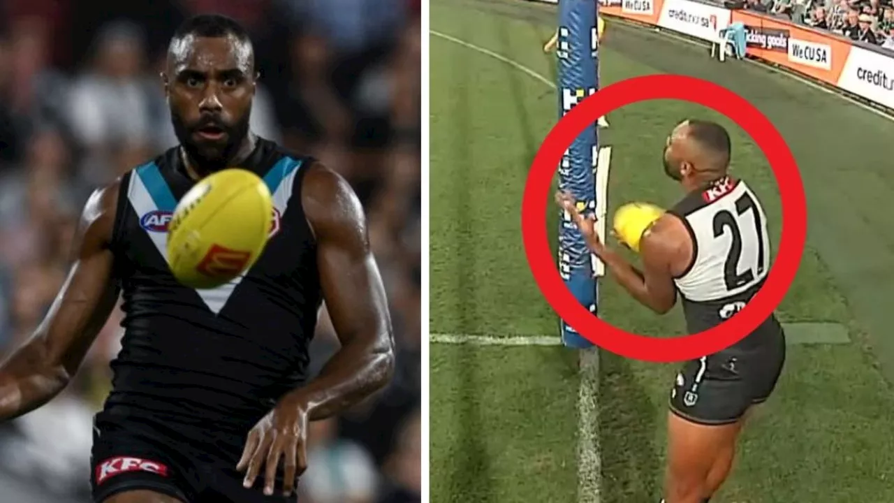 ‘Just dumb’: AFL star roasted for cardinal sin