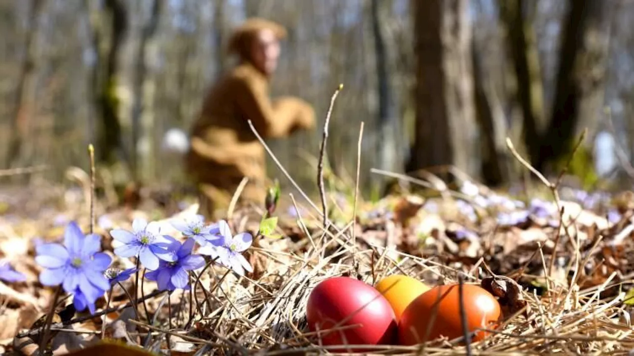 Vom Osterhasen im Wald bis zur Walpurgisnacht auf der Burg