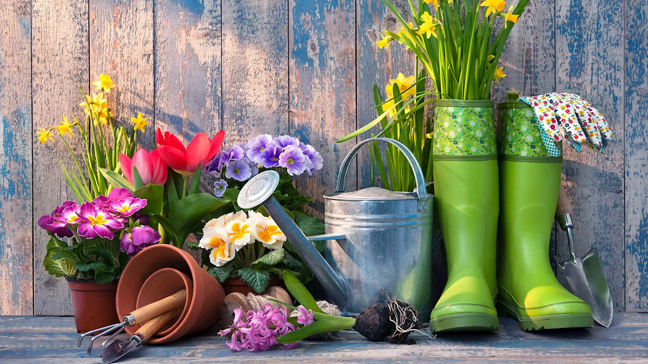 Wenn der Garten in den Frühling startet