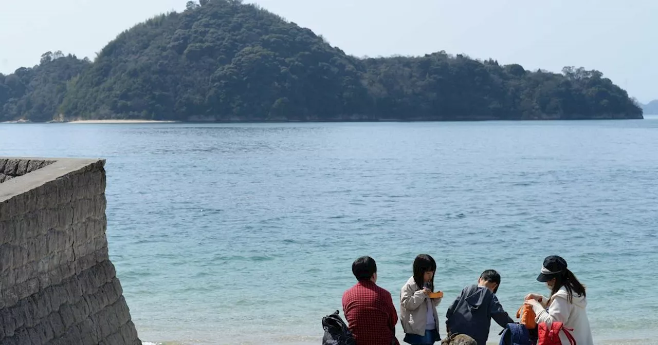 Japan: Auf der Insel Okunoshima leben Kaninchen