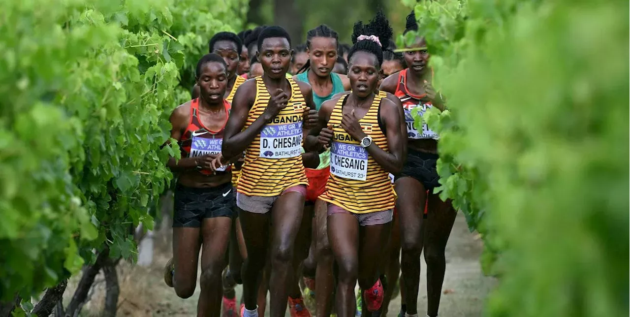 How to Watch the 2024 World CrossCountry Championships United States