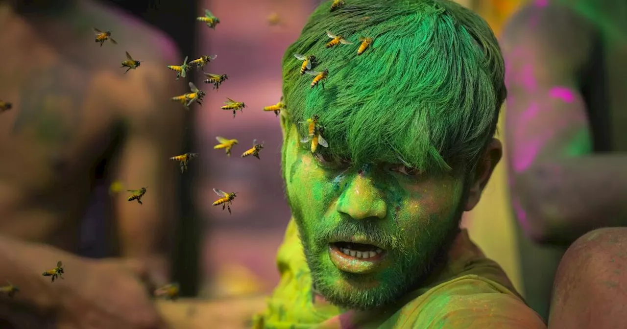 An Associated Press photographer snaps a buzzy photo by focusing on the details during Holi