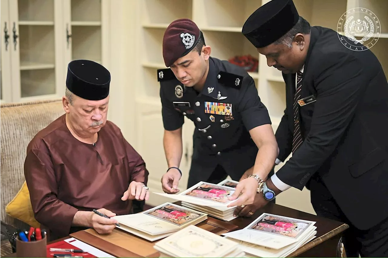 King to respond to all Raya cards