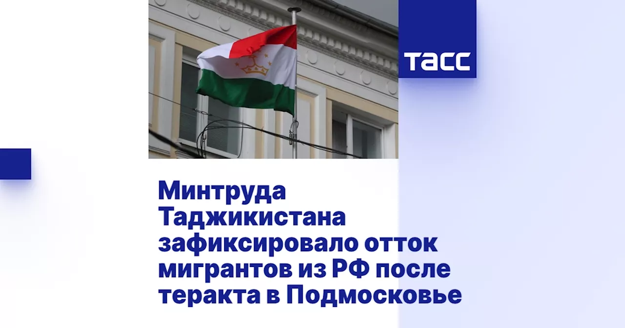 Минтруда Таджикистана зафиксировало отток мигрантов из РФ после теракта в Подмосковье