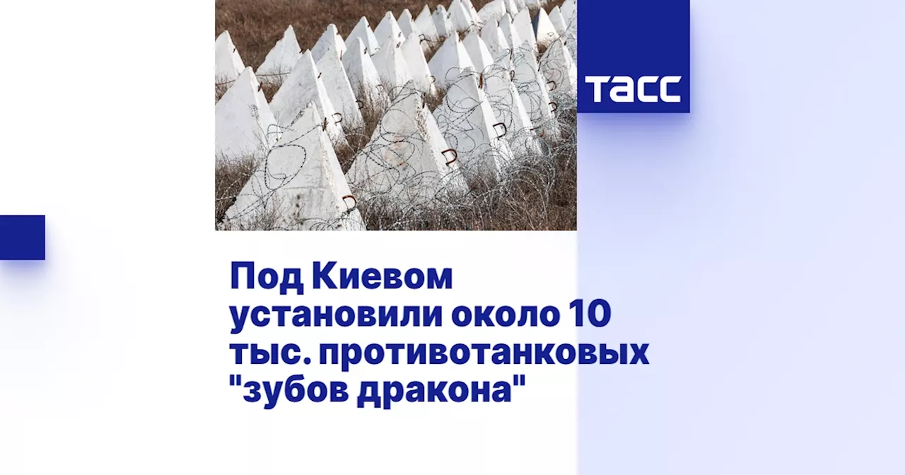 Под Киевом установили около 10 тыс. противотанковых 'зубов дракона'