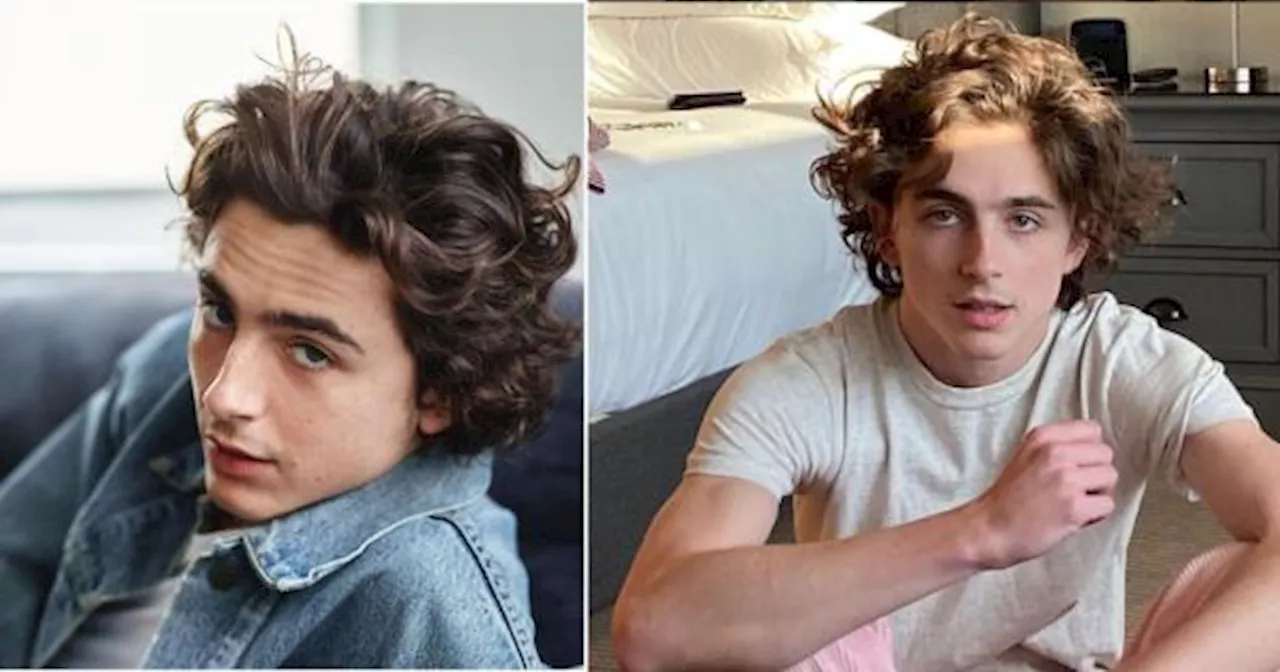 ¿Cuál es el fortuna de Timothée Chalamet?