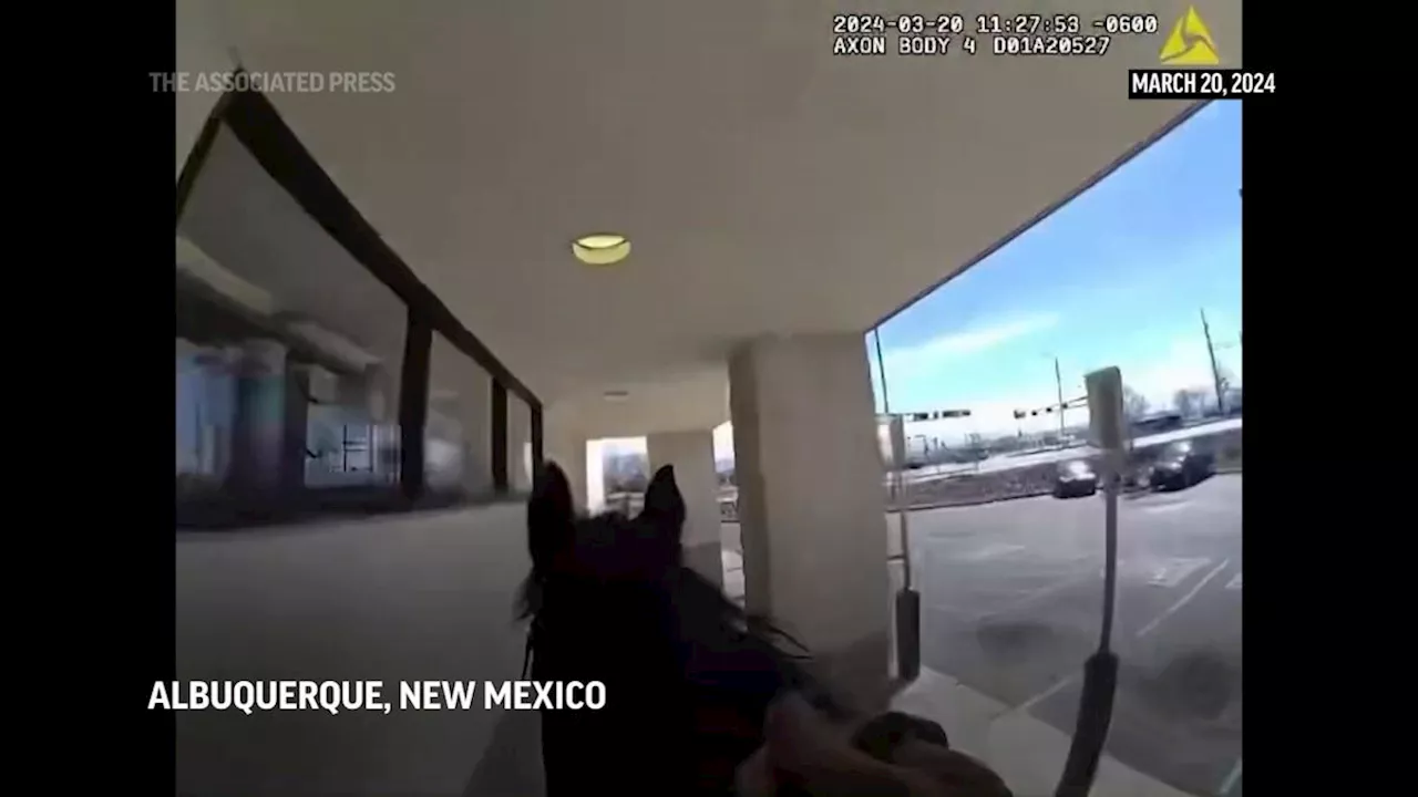 Shoplifter chased by police on horseback in New Mexico