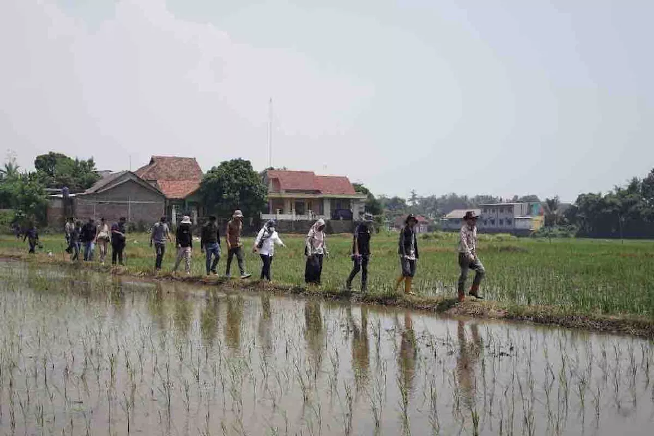 Kementan pompanisasi sawah tadah hujan pertanian di Banten