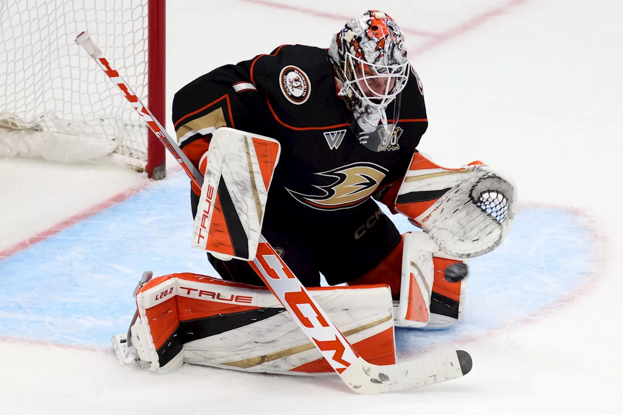 Ducks vs Canucks Odds, Picks, and Predictions Tonight: Underrated Goalies Battle in British Columbia