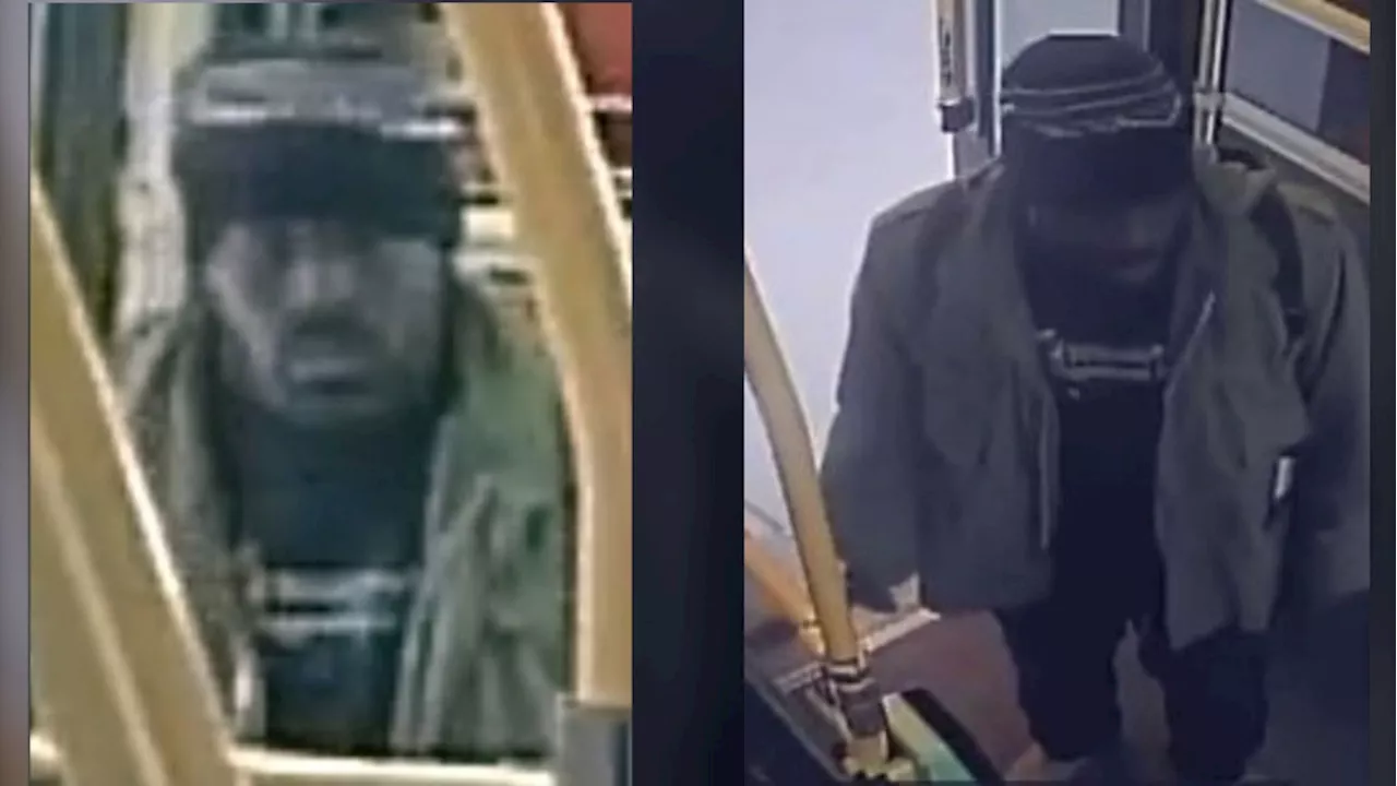 Police searching for suspect after victim assaulted on TTC bus at Kipling Station