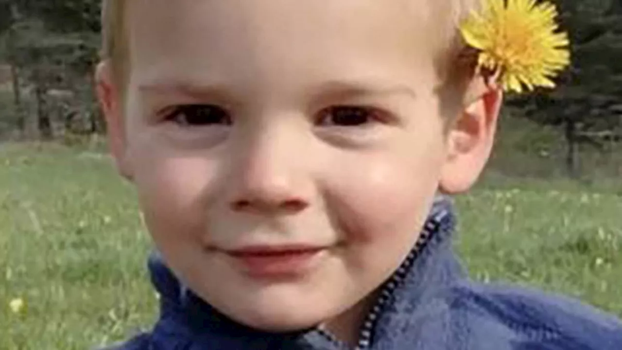 Remains belonging to little French boy Émile Soleil who vanished without trace eight months ago are...